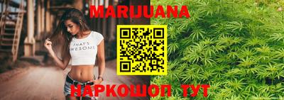 МДПВ Гай