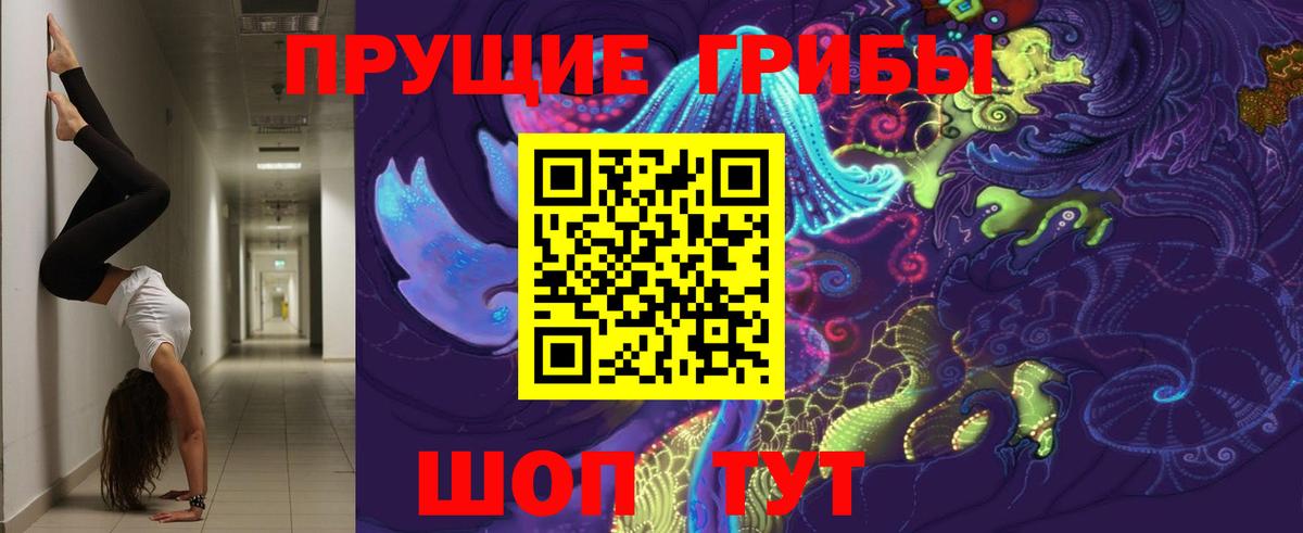 Псилоцибиновые грибы Psilocybine cubensis  Вход с VPN  Касимов 